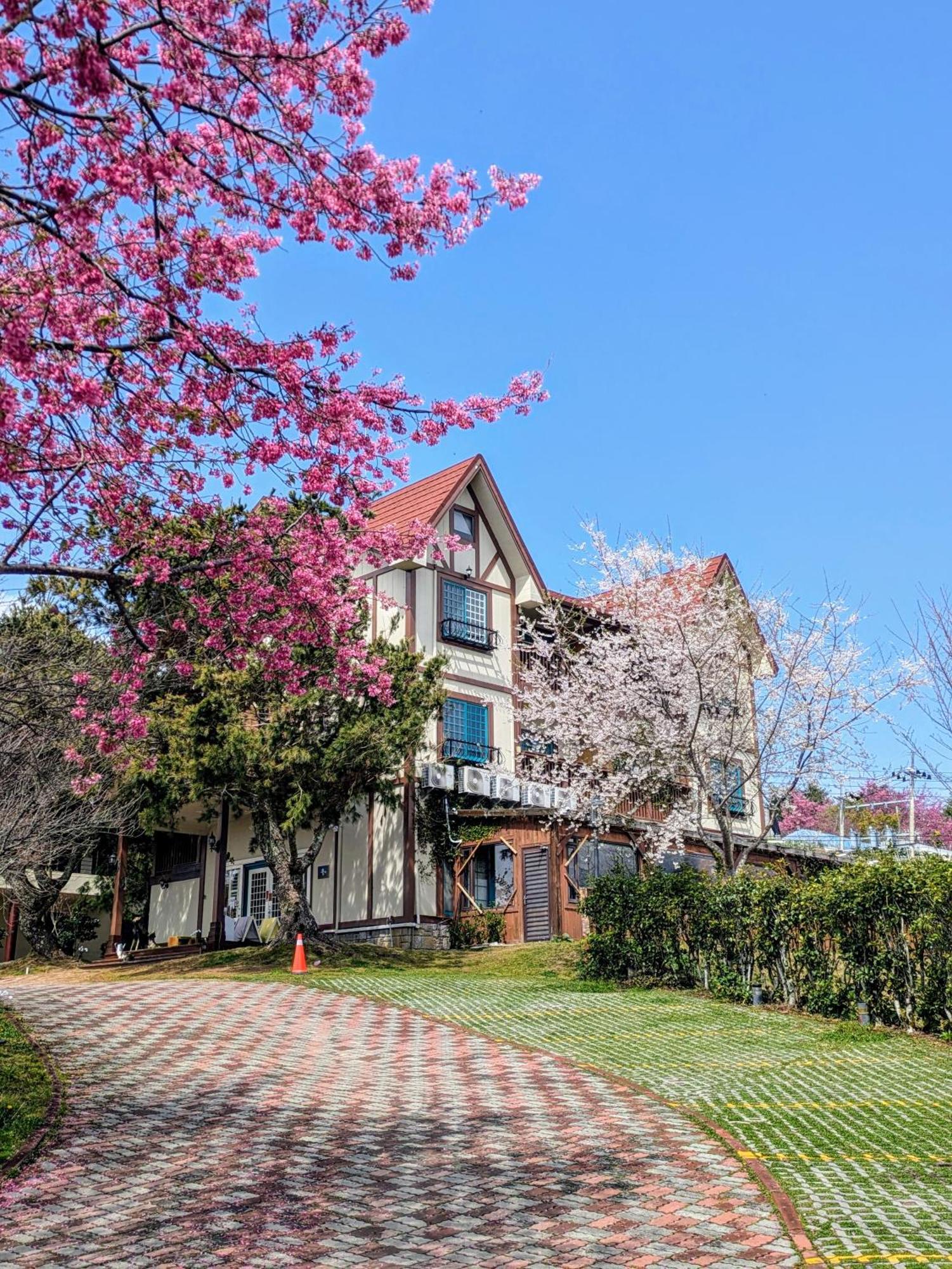 清境 百里莊園 Baili Manor Cing Jing Leilighet Renai Eksteriør bilde